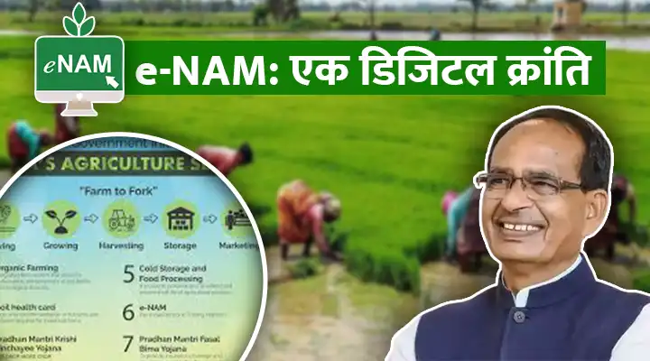 e-NAM: ई-नाम प्लेटफॉर्म में व्यापार योग्य नये पैरामीटर शामिल, डिजिटल प्लेटफॉर्म से कृषि व्यापार में क्रांति