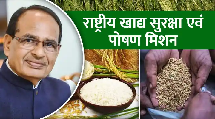 National Food Security and Nutrition Mission: राष्ट्रीय खाद्य सुरक्षा एवं पोषण मिशन से किसानों को मिलेगा सीधा लाभ, कोई बिचौलिया नहीं