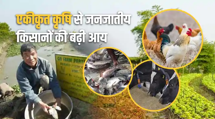 Integrated Farming System by tribals farmers आदिवासी किसानों द्वारा एकीकृत कृषि प्रणाली