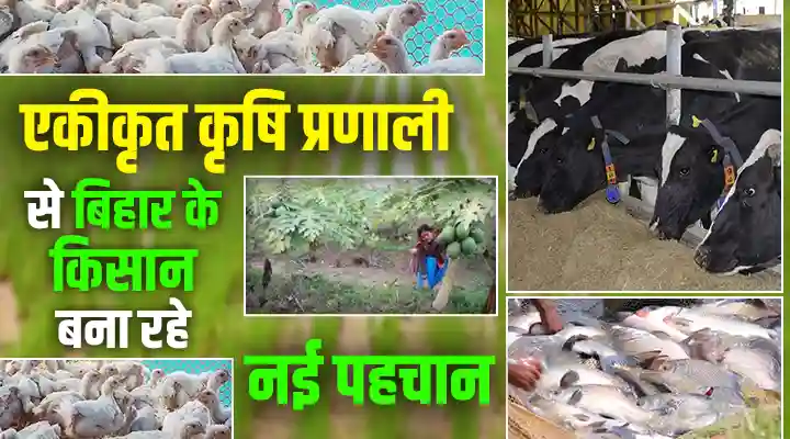 Integrated Farming System एकीकृत कृषि प्रणाली