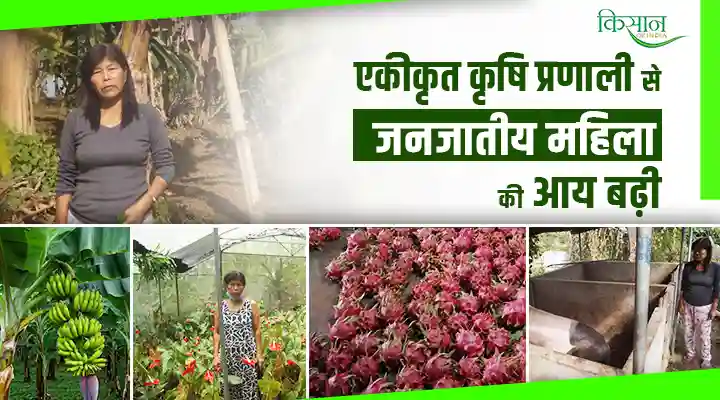 Integrated Farming System एकीकृत कृषि प्रणाली