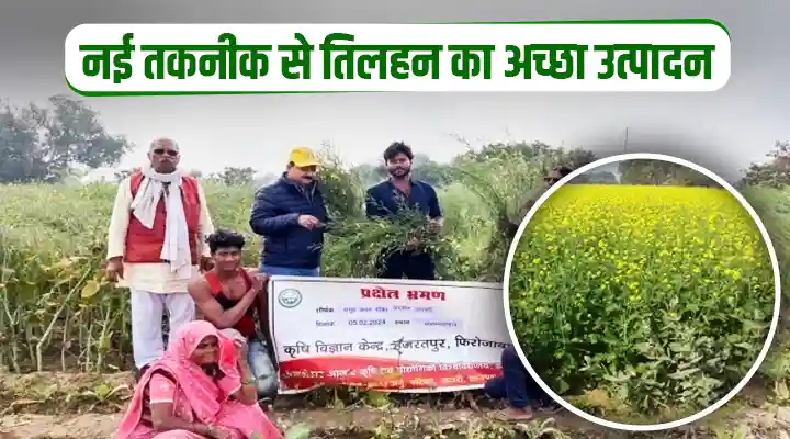 Oilseed Farming तिलहन खेती