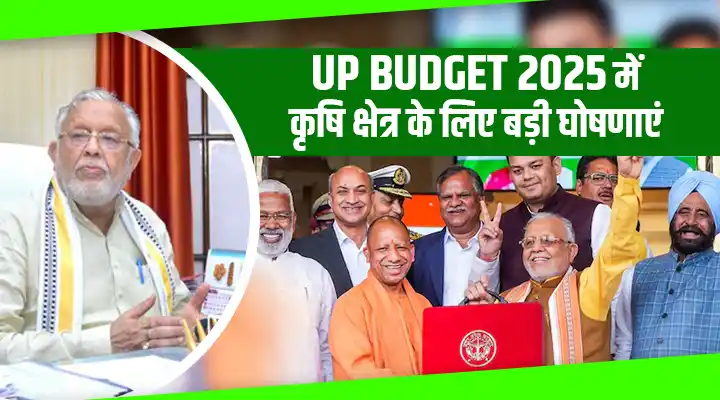 UP Budget 2025 यूपी बजट 2025