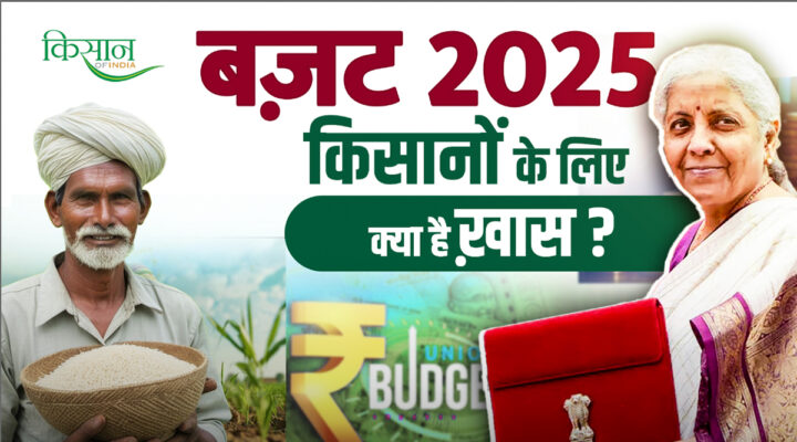 Union Budget 2025 बजट 2025