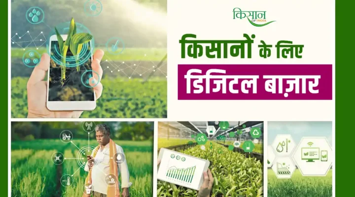Digital Market For Farmers: किसानों के लिए नए अवसर, वैश्विक उपभोक्ताओं तक पहुंच का द्वार है डिजिटल बाज़ार