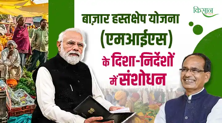 Market Intervention Scheme: MIS के ज़रिए किसानों को उपज का मिलेगा बाज़ार में उचित मुनाफ़ा