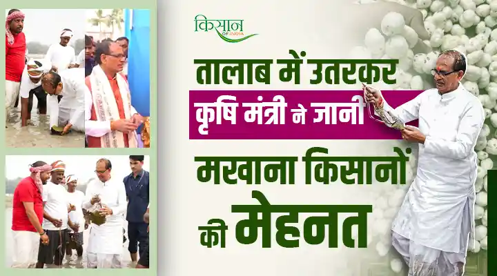 Makhana Farming: मखाना बोर्ड से किसानों को मिलेगी नई पहचान,दरभंगा में कृषि मंत्री शिवराज सिंह ने सीखा मखाना खेती का तरीका