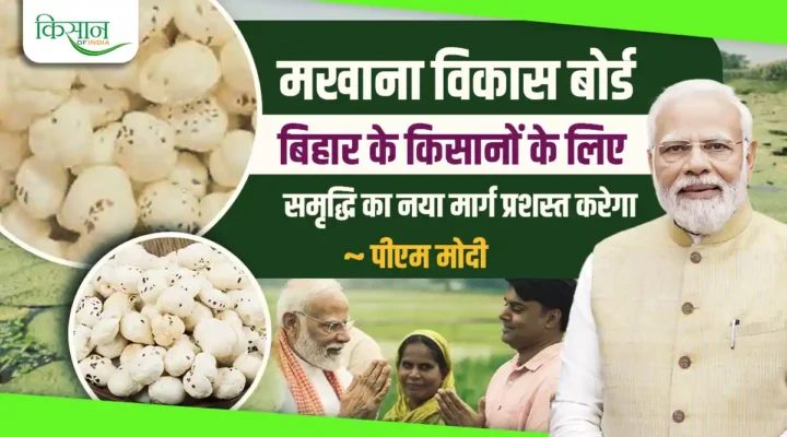 Makhana Industry: प्रधानमंत्री मोदी ने भागलपुर से की मखाना उद्योग को बढ़ावा देने वाली योजना की शुरुआत