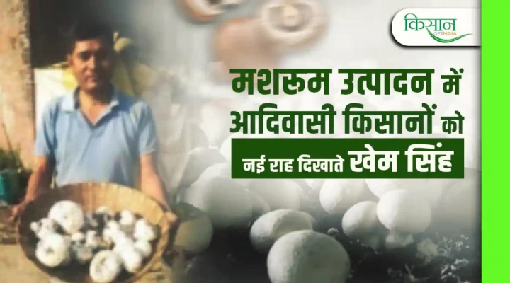 Mushroom Production: मशरूम उत्पादन से नैनीताल के इस शख्स ने आदिवासी किसानों को दिखाई नई राह