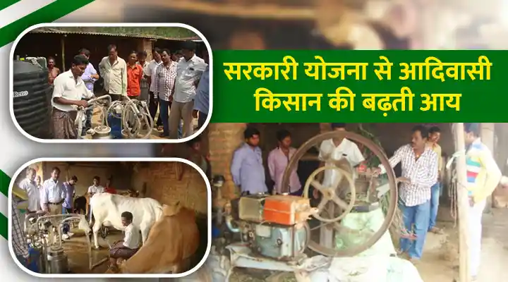 डेयरी फ़ार्म Dairy Farming