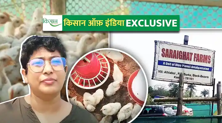 पोल्ट्री फ़ार्मिंग Poultry Farming