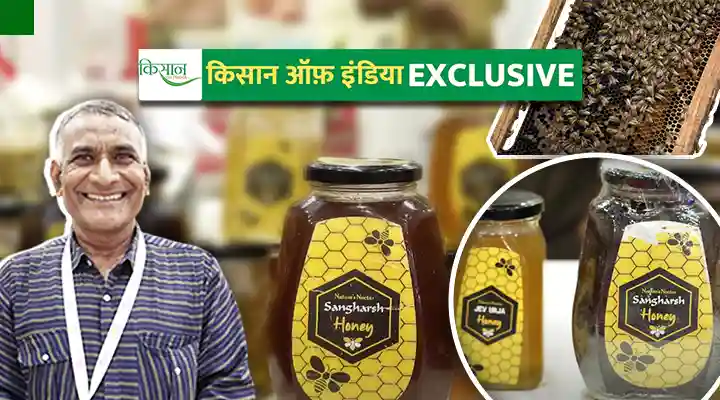 मधुमक्खी पालन Beekeeping