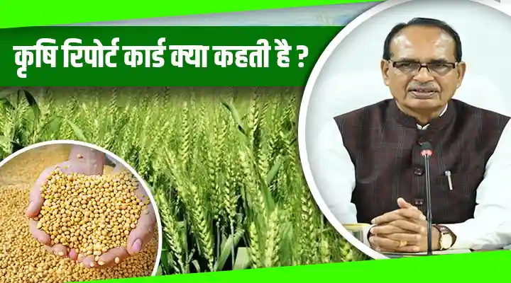 Estimates for Kharif and Rabi crops released खरीफ़ और रबी फ़सलों का अनुमान