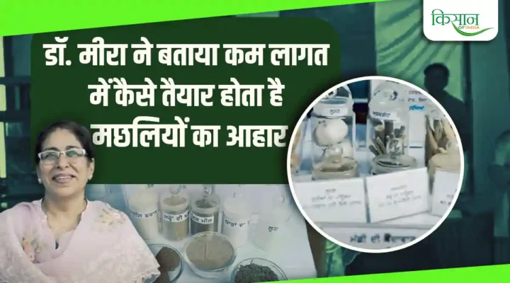 Fisheries: घरेलू तरीके से कम लागत में कैसे तैयार होता है मछलियों का आहार, बताया डॉ. मीरा ने