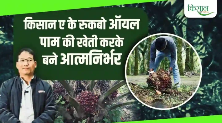 National Edible Oil Mission-Oil Palm: किसान ए के रुकबो पाम ऑयल खेती से कमा रहे लाखों, पत्ते और स्टेम बिज़नेस से भी कमा रहे मुनाफ़ा