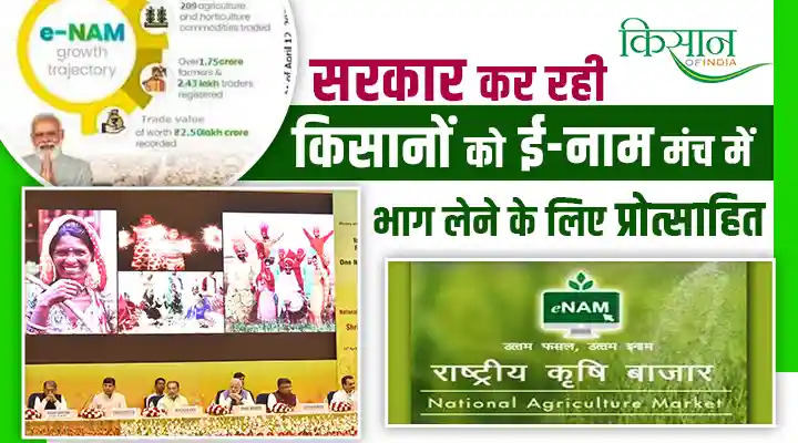 e-NAM 2.0 New Digital Platform: सरकार किसानों को कर रही ई-नाम इस्तेमाल करने को प्रोत्साहित