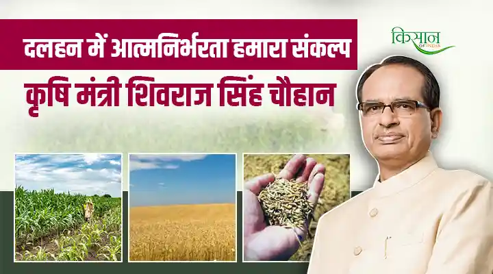 Central Government का किसान हितैषी नीतियों की दिशा में बड़ा कदम, कृषि मंत्री का 100 फ़ीसदी दलहन ख़रीद का संकल्प