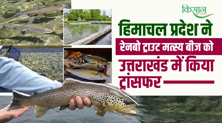 Rainbow Trout Fish Seed का हिमाचल प्रदेश से उत्तराखंड में स्थानांतरण: मत्स्य पालन क्षेत्र में नई क्रांति
