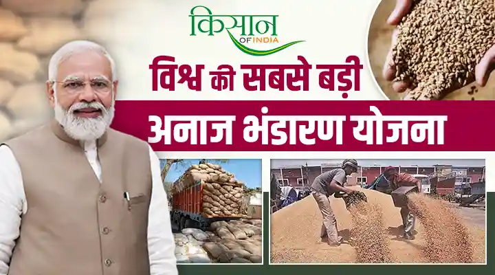 India's World's Largest Grain Storage Plan: अनाज भंडारण योजना के Pilot Project को मंज़ूरी, किसानों के लिए सरकार का अहम कदम