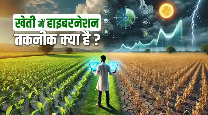 Hibernation In Farming: जलवायु-अनुकूल फसलें जो मौसम का अंदाज़ा लगा सकती हैं
