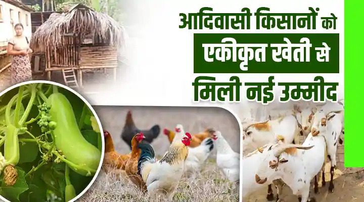 Integrated Farming: निकोबार द्वीप के आदिवासी किसानों के लिए एकीकृत खेती बनी सफलता की नई पहचान