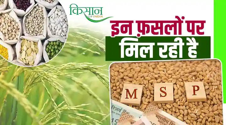 Minimum Support Price न्यूनतम समर्थन मूल्य