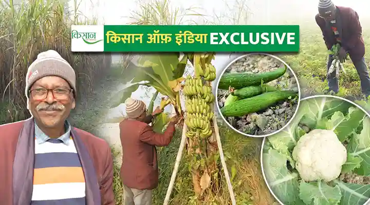 Natural Farming प्राकृतिक खेती
