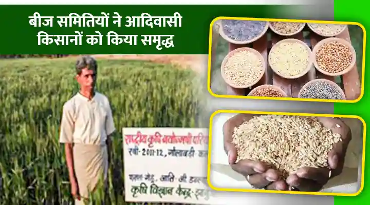 Seed Society Helps Tribal Farmers बीज समितियां आदिवासी किसानों की मदद करती हैं