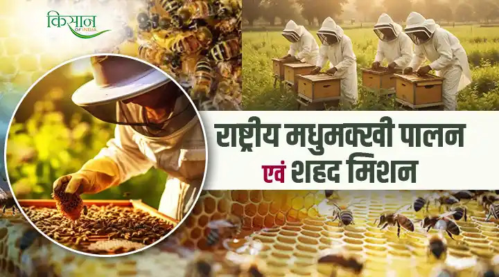 National Beekeeping And Honey Mission: राष्ट्रीय मधुमक्खी पालन एवं शहद मिशन है किसानों और उद्यमियों के लिए वरदान
