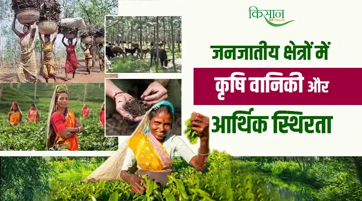 Agroforestry in Tribal Areas : आदिवासी क्षेत्रों में कृषि-वनीकरण के ज़रीये सतत आजीविका और आर्थिक विकास