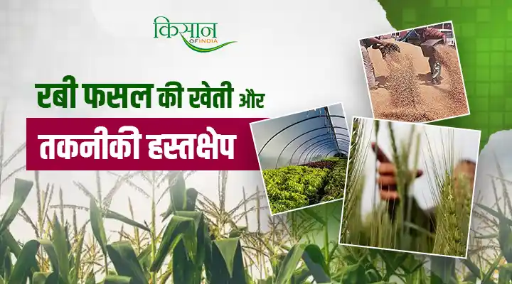National Food Security Mission: रबी खाद्यान्न उत्पादन में इज़ाफा, खाद्य सुरक्षा मिशन का बड़ा योगदान