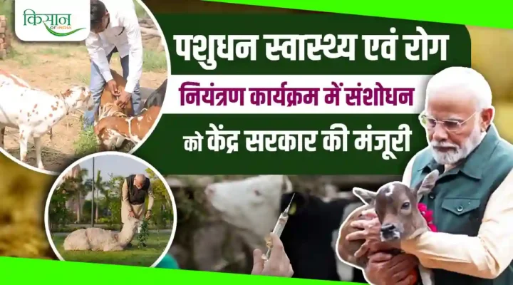 LHDCP Amendment : पशुधन स्वास्थ्य एवं रोग नियंत्रण कार्यक्रम में संशोधन, पशुओं की सुरक्षा की दिशा में बड़ा कदम