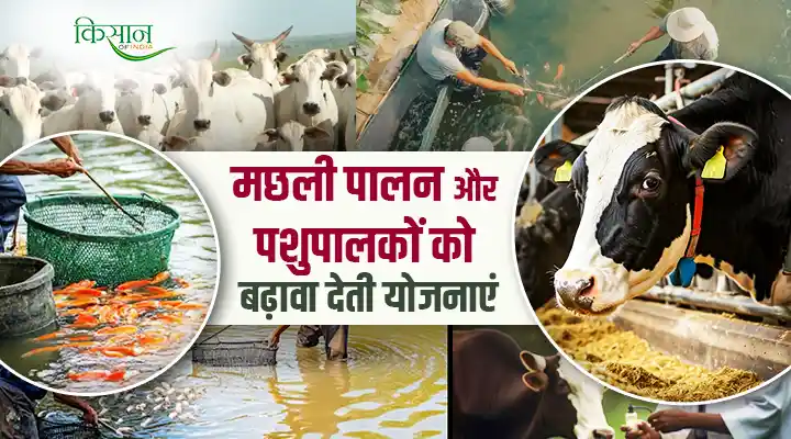 मत्स्य पालन और डेयरी क्षेत्र को बढ़ावा देने वाली सरकारी योजनाएं Government schemes to promote fisheries and dairy sector