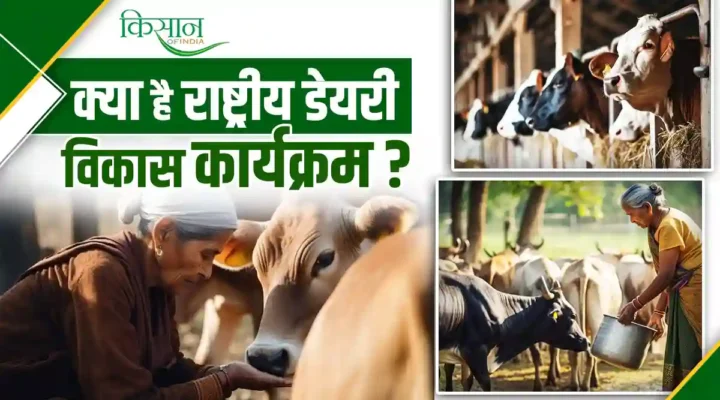 संशोधित राष्ट्रीय डेयरी विकास कार्यक्रम Revised National Dairy Development Programme