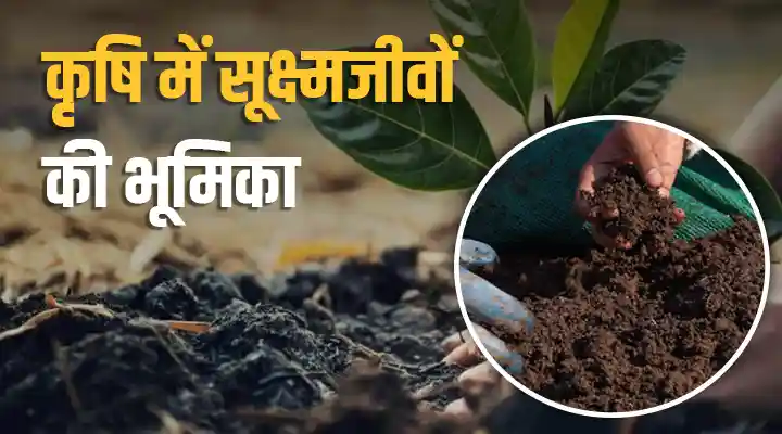 Agricultural Microorganisms कृषि सूक्ष्मजीव