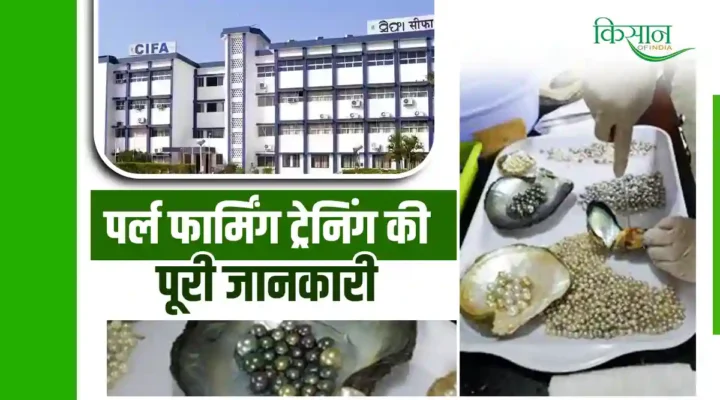 Pearl Farming Training: मोती की खेती के लिए देश में ट्रेनिंग सेंटर, कितनी है फ़ीस और जानें सरकारी योजनाओं के बारे में विस्तार से