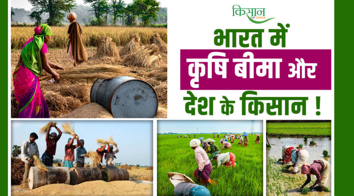Agricultural Insurance For Indian Farmers: भारतीय किसानों का सुरक्षा कवच है कृषि बीमा, कैसे करें आवेदन?
