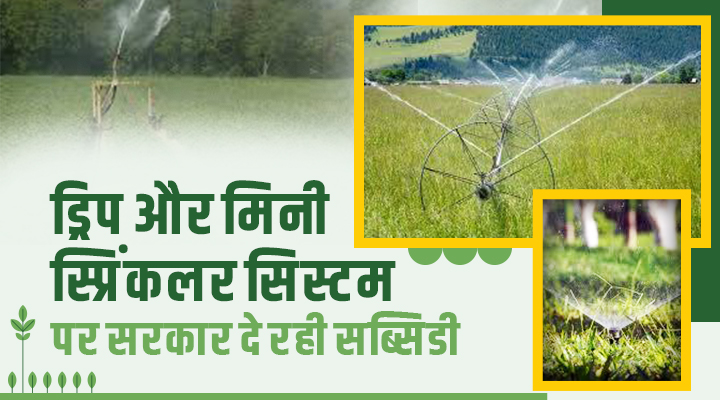 Subsidy On Drip Irrigation And Mini Sprinkler System: बिहार सरकार की बड़ी पहल: ड्रिप सिंचाई और मिनी स्प्रिंकलर पर 80 फीसदी सब्सिडी
