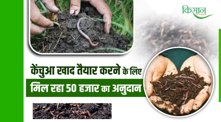 Vermi Compost Unit Scheme: राजस्थान सरकार की वर्मीखाद योजना किसानों के लिए सुनहरा अवसर, मिल रही 50 हज़ार की सब्सिडी
