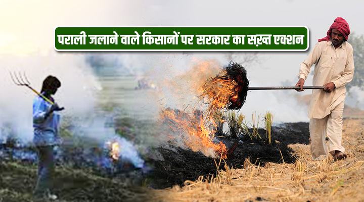 Stubble Burning: पराली जलाने वाले किसानों पर सरकार का सख़्त एक्शन, MSP और योजनाओं का लाभ मिलना होगा बंद