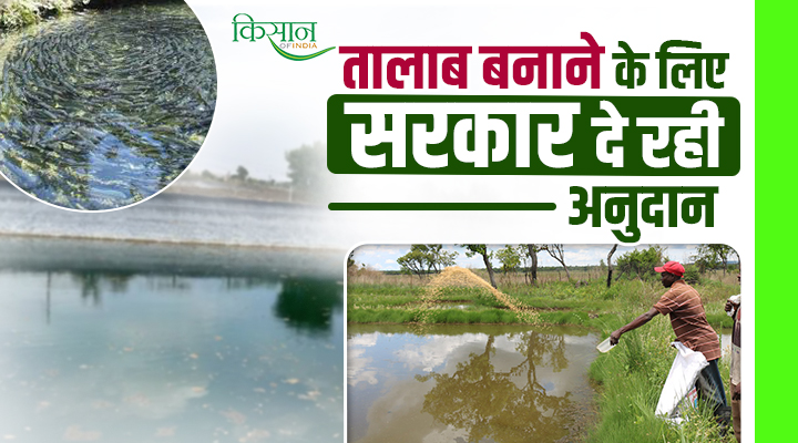 Subsidy For Making Farm Pond: सूखे से लड़ने की सस्ती और स्मार्ट तरकीब है खेत तालाब, बनवाने पर सरकार दे रही सब्सिडी