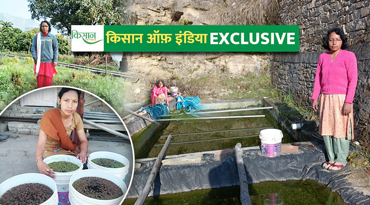 Fish Farming मछली पालन