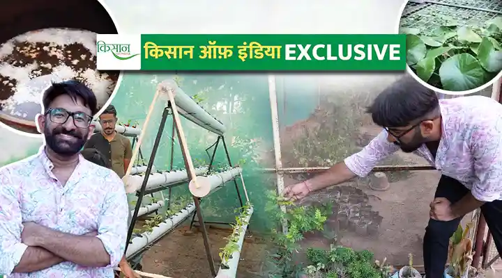 Plant Nursery Business: प्लांट नर्सरी शुरू करना चाहते हैं, तो आपके बहुत काम आएंगे अनिल थडानी के बताए टिप्स