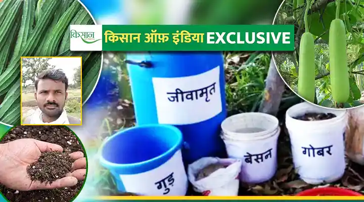 Organic Farming जैविक खेती