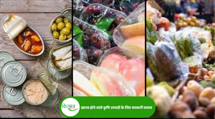 Perishable Agricultural Products : ख़राब होने वाले कृषि उत्पादों को लाभकारी बनाने के लिए सरकार की योजनाएं और कार्यक्रम