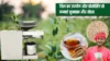 Uses and Processing of Sesame तिल का उपयोग और प्रोसेसिंग