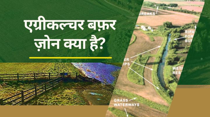 Importance Of Buffer Zone: कृषि में बफ़र ज़ोन क्या है ? इसके महत्व और प्रकार के बारें में जानिए