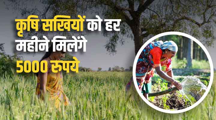 Krishi Sakhis Scheme: UP सरकार की महत्वाकांक्षी योजना है कृषि सखी, 2500 करोड़ रुपये से प्राकृतिक खेती को बढ़ावा