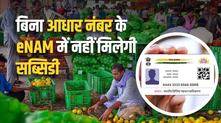 Aadhaar Is Mandatory In e-NAM Scheme: ई-नाम योजना में आधार अनिवार्य, बिना वेरिफिकेशन नहीं मिलेगा फ़ायदा