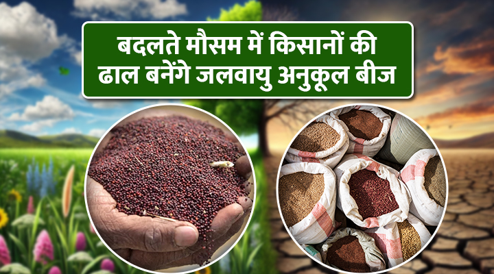 Climate-friendly seeds जलवायु-अनुकूल बीज